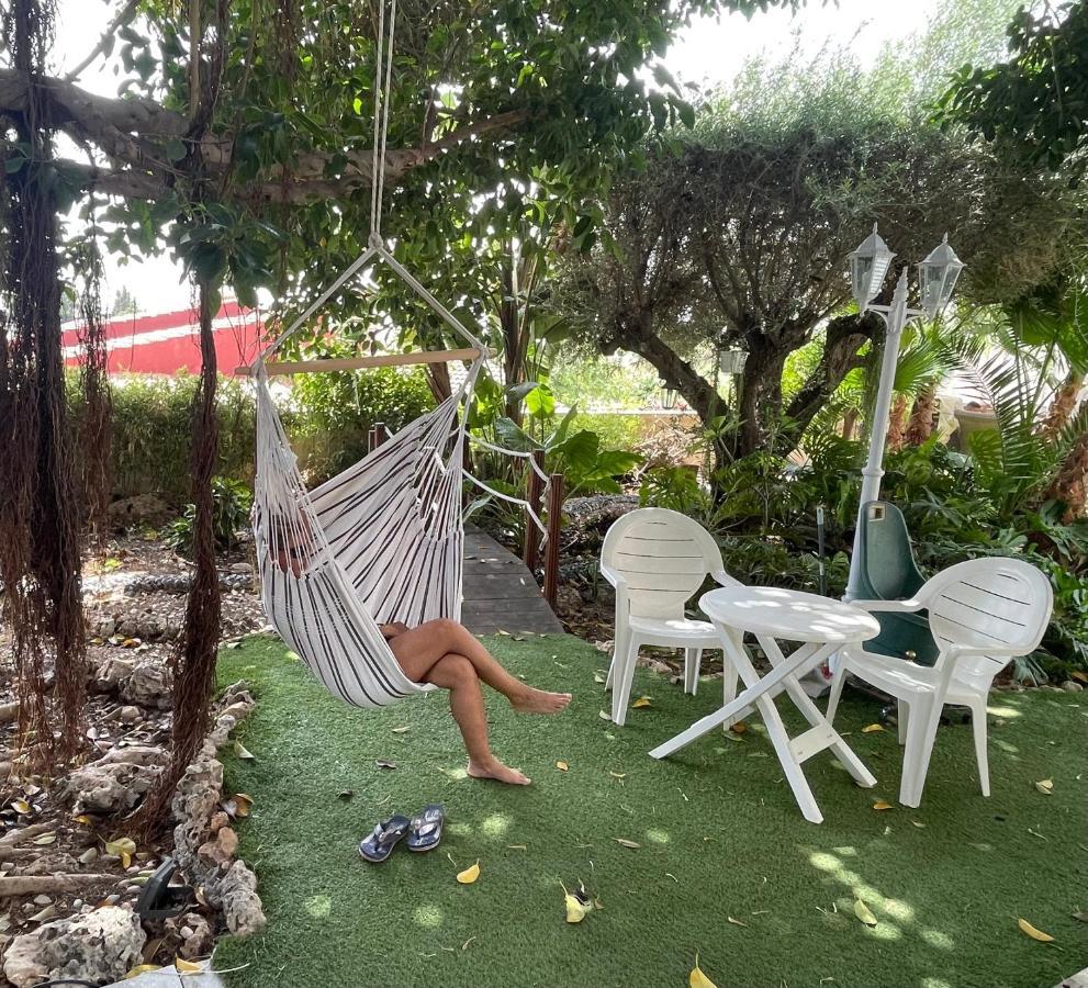 Suite Privada Frente A La Piscina Para 2 Personas Con Sofa Cama Para 2 Mas 4P No Es Casa Completa San Vicente Raspeig ภายนอก รูปภาพ