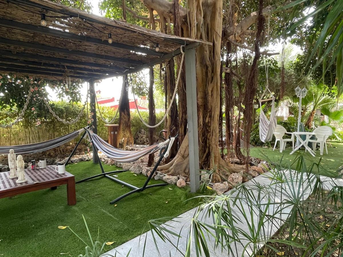 Suite Privada Frente A La Piscina Para 2 Personas Con Sofa Cama Para 2 Mas 4P No Es Casa Completa San Vicente Raspeig ภายนอก รูปภาพ